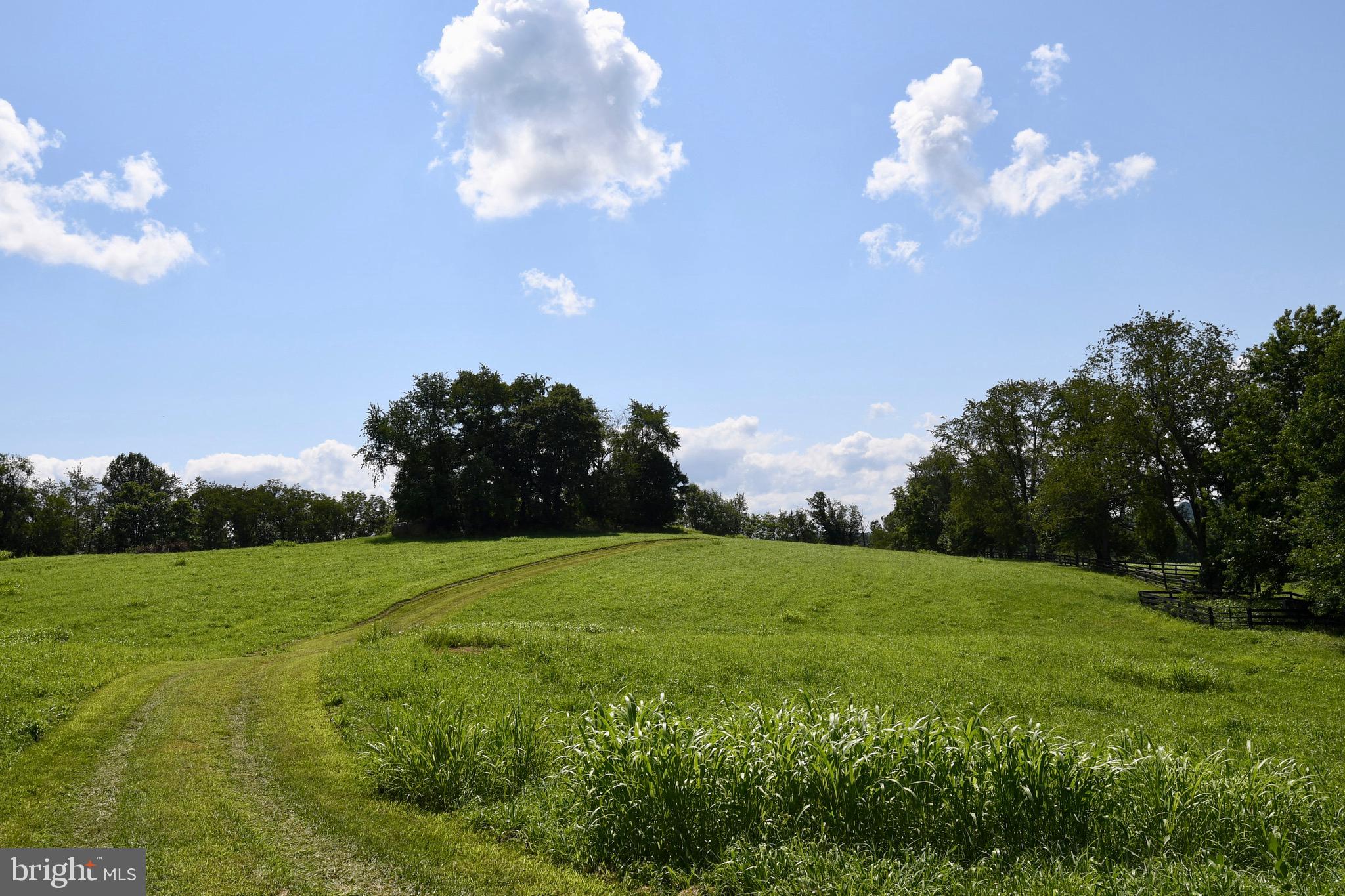 2919 Rokeby Road Delaplane, VA 20144 - Photo 24 of 40