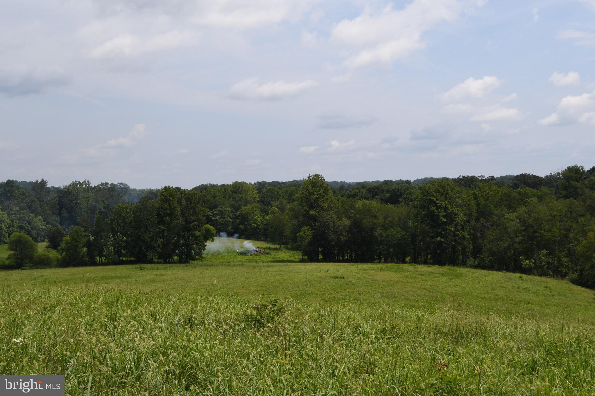 2919 Rokeby Road Delaplane, VA 20144 - Photo 26 of 40
