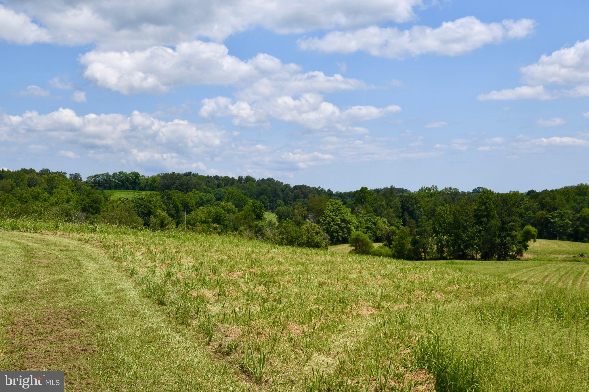 2919 Rokeby Road Delaplane, VA 20144 - Photo 29 of 40