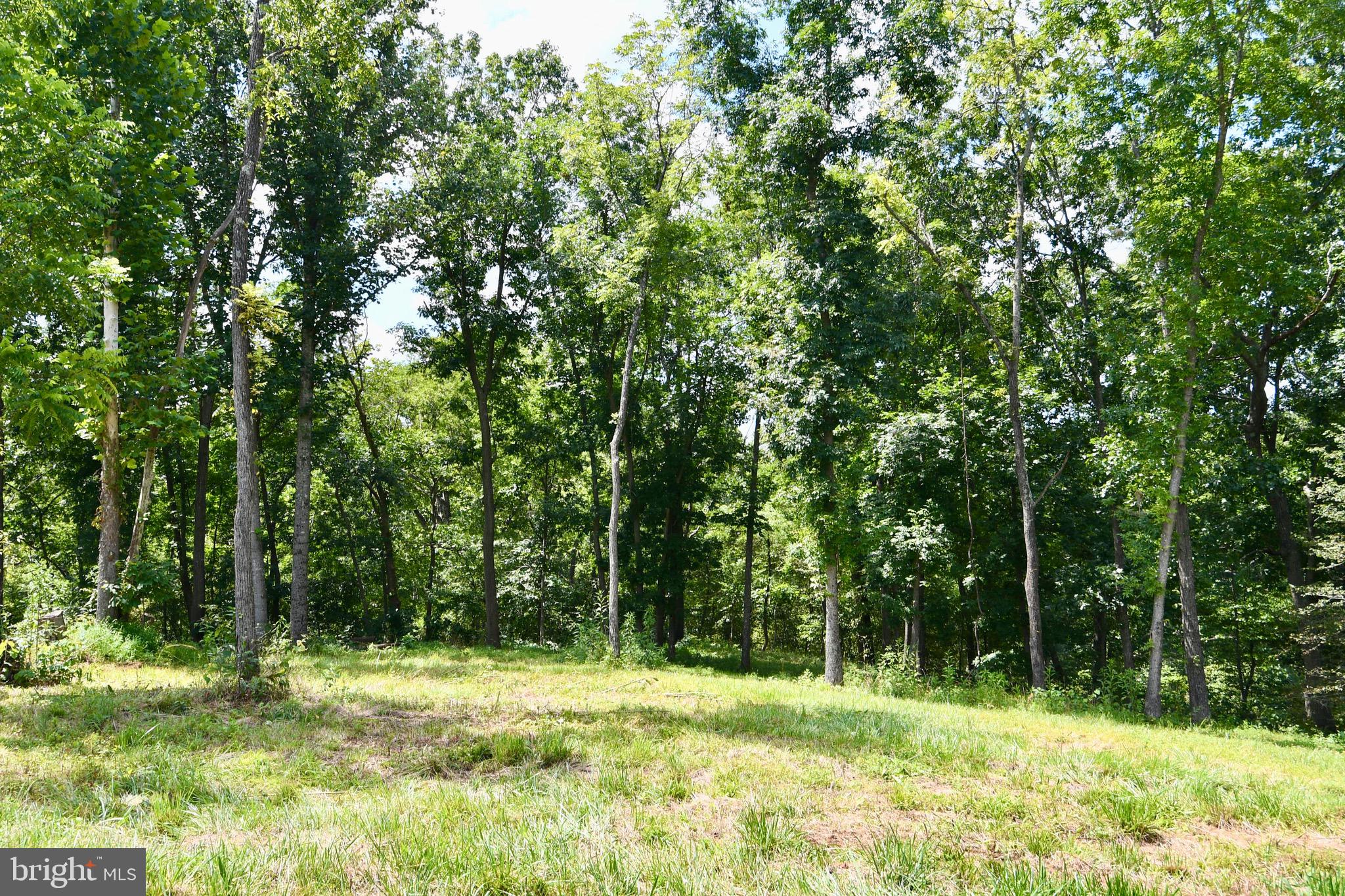 2919 Rokeby Road Delaplane, VA 20144 - Photo 32 of 40