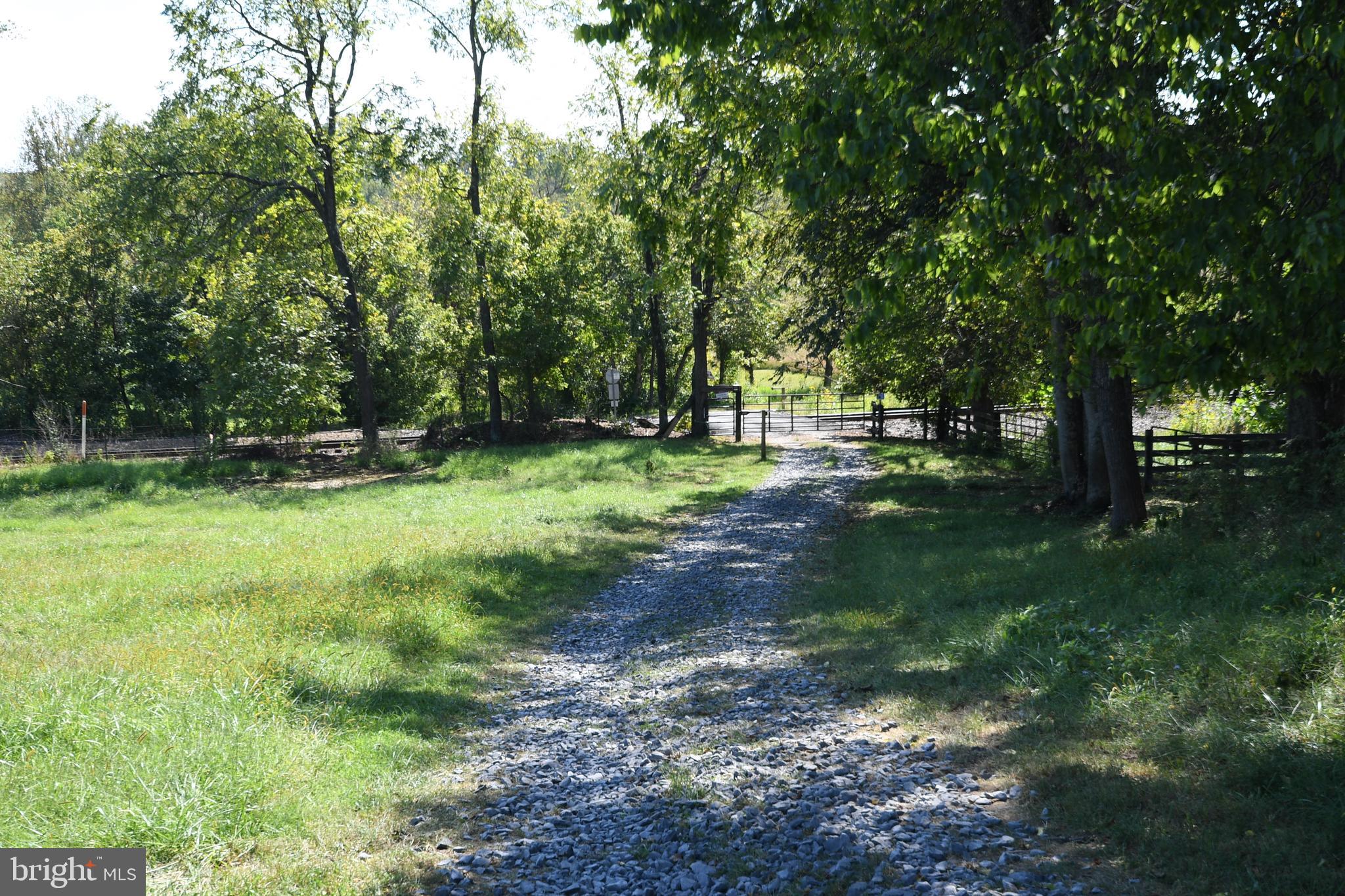 2919 Rokeby Road Delaplane, VA 20144 - Photo 35 of 40 a view of a park with large trees