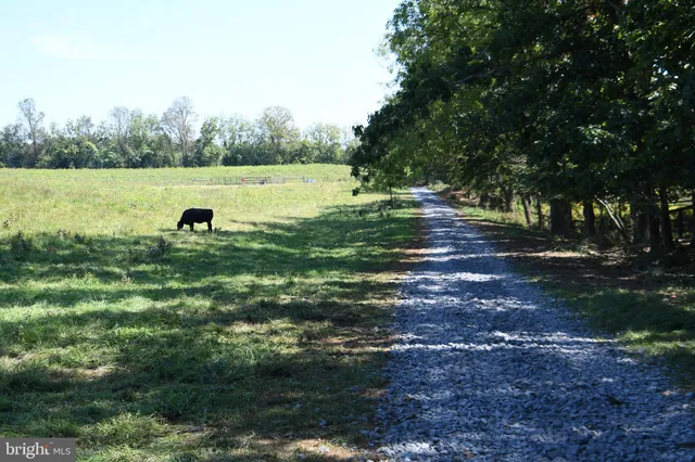 $770,000 | 2919 Rokeby Road, Delaplane, VA 20144