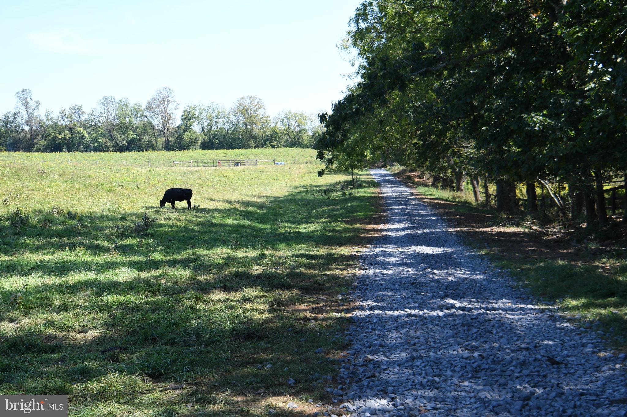 2919 Rokeby Road Delaplane, VA 20144 - Photo 36 of 40