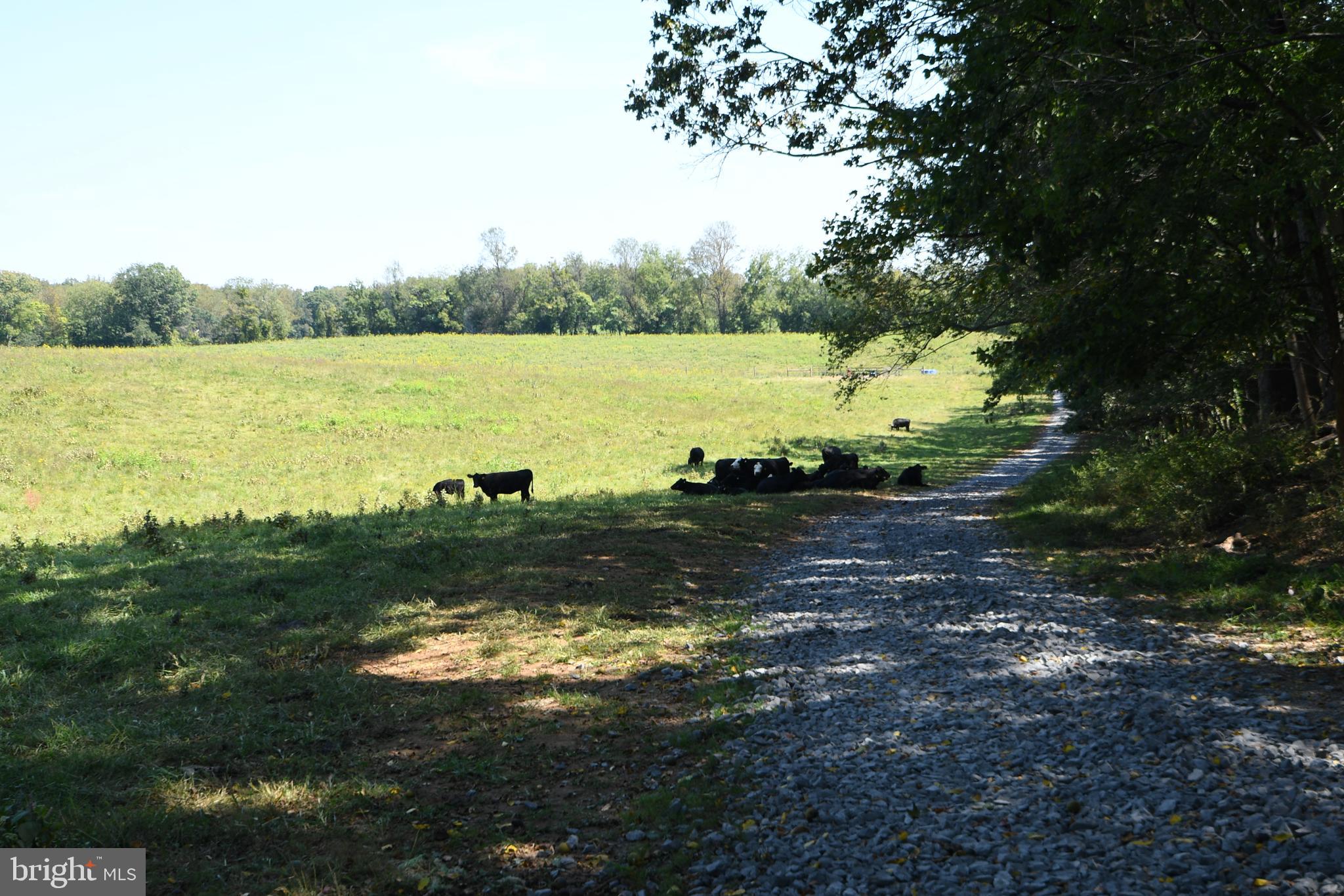 2919 Rokeby Road Delaplane, VA 20144 - Photo 37 of 40