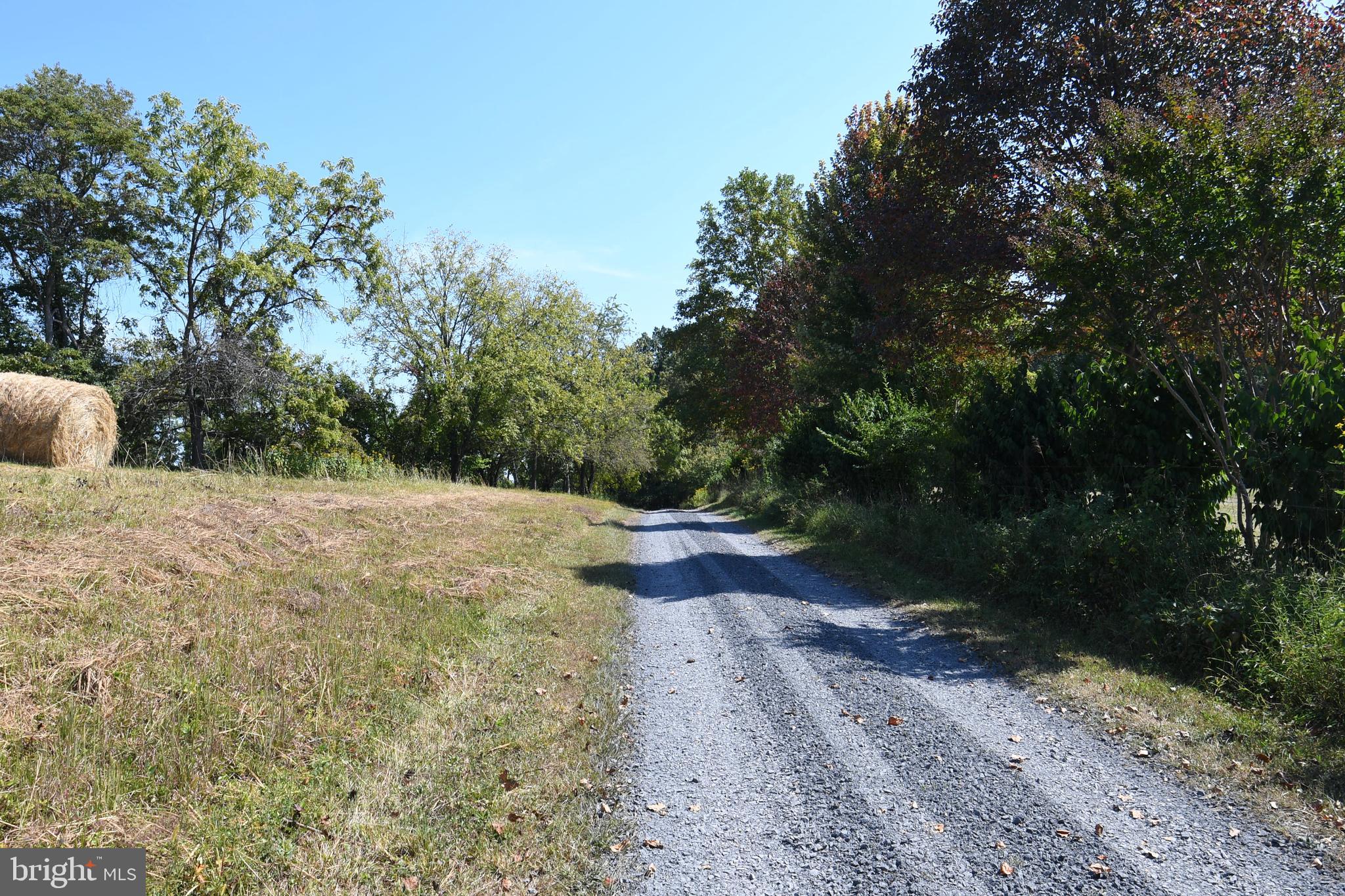 2919 Rokeby Road Delaplane, VA 20144 - Photo 38 of 40