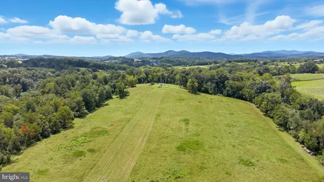 a view of a big yard with swimming pool and green space