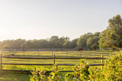 a view of lake with mountain