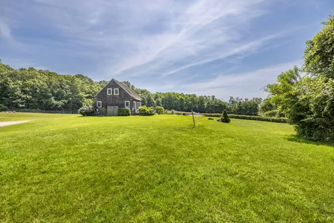 a view of a big yard with plants and large trees