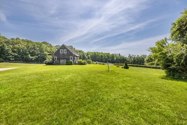 a view of a big yard with plants and large trees