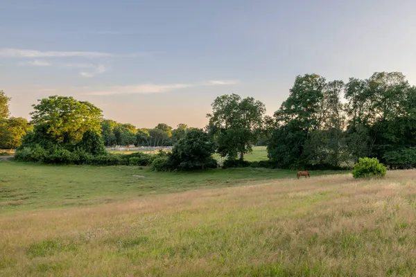 a view of a field with trees in background