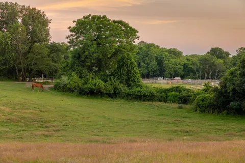 a view of outdoor space and yard
