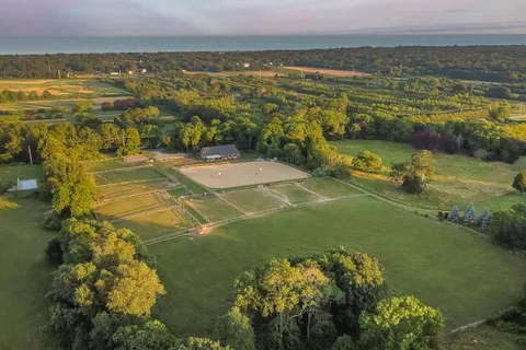 a view of a dry yard