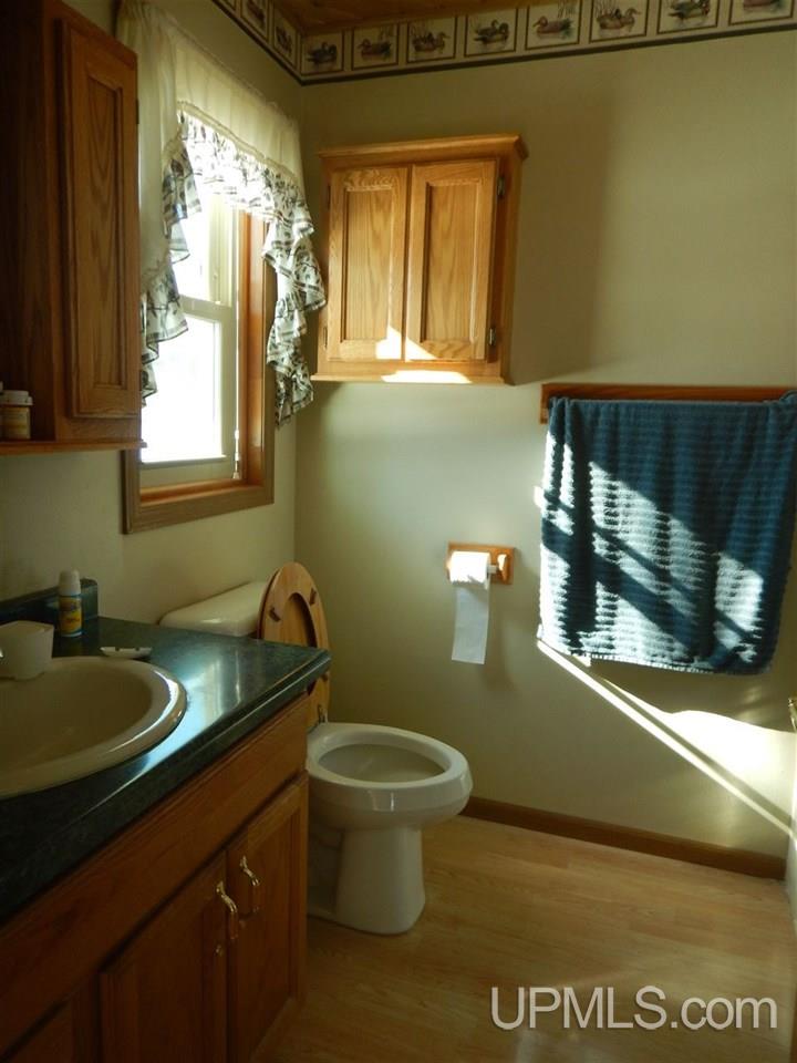 15490 County 426 M.5 Road Cornell, MI 49818 - Photo 10 of 34
