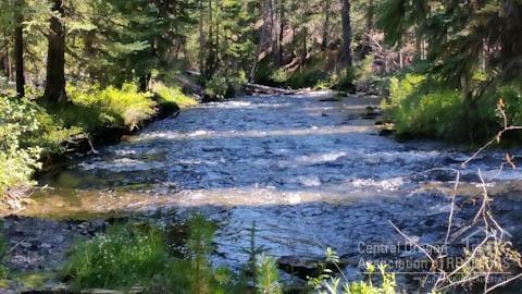 61568 River Road Bend, OR 97703 - Photo 1 of 1 Primary Photo