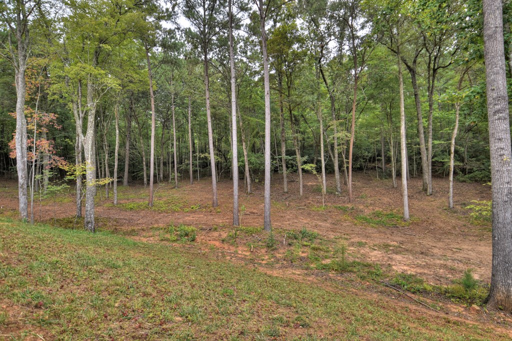 830 Turtle Ridge Road Ellijay, GA 30536 - Photo 8 of 84 Gallery Image 8