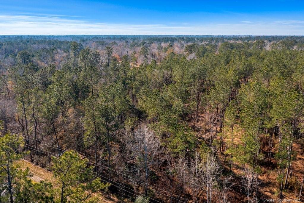 0 Old River Road Starks, LA 70661 - Photo 2 of 5