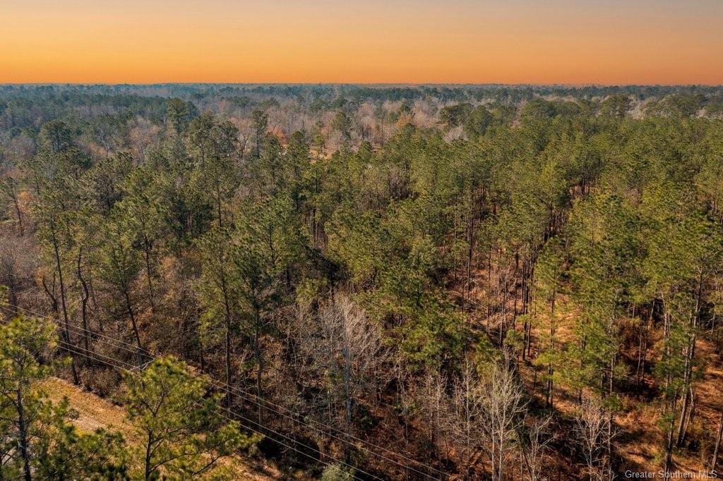 0 Old River Road Starks, LA 70661 - Photo 3 of 5