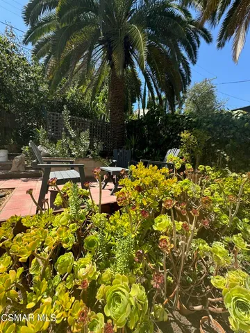 a view of a yard with plants