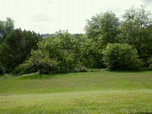 146 Herbst Road Coraopolis, PA 15108 - Photo 8 of 8 Other.