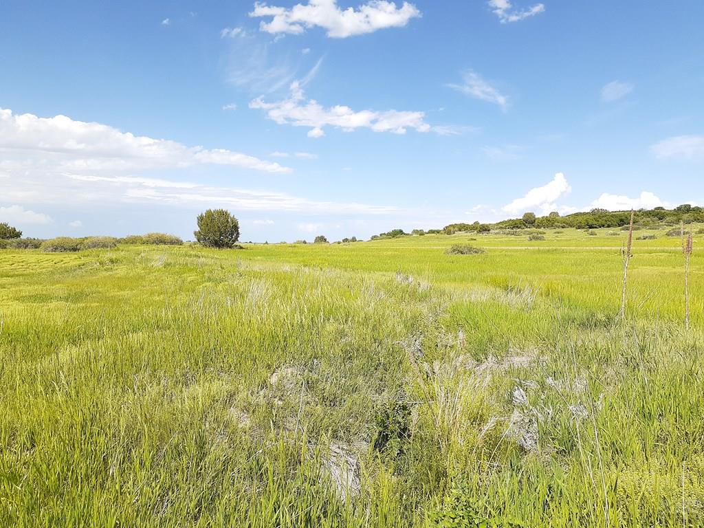 Tbd Apollo Circle Rye, CO 81069 - Photo 8 of 11