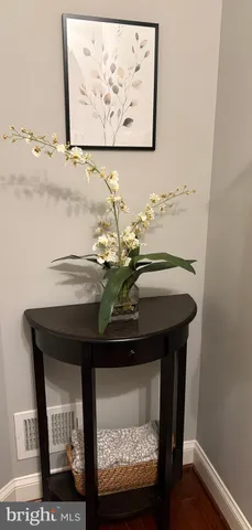 a sink sitting on top of a wooden floor