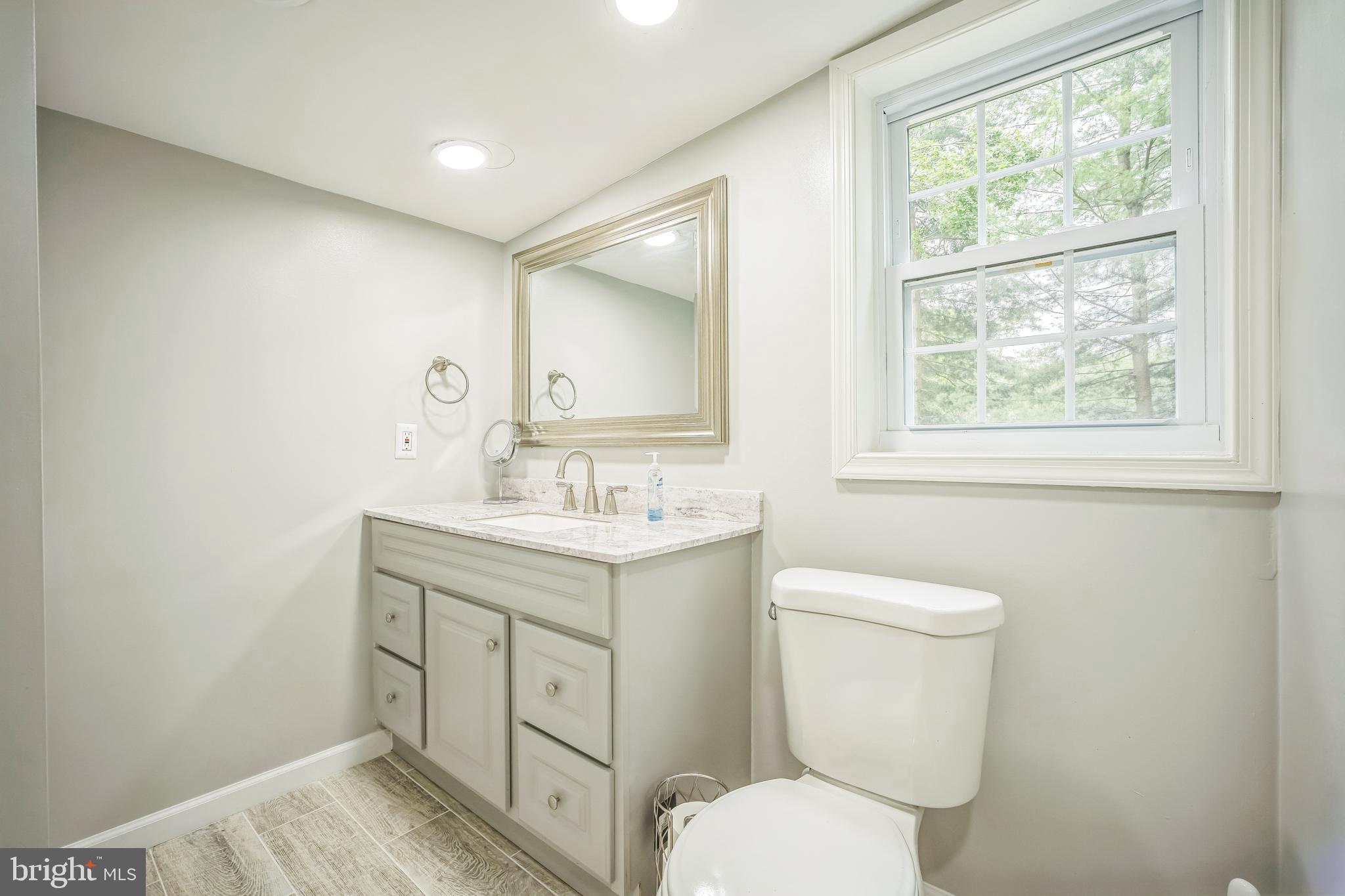 4183 Grant Lane The Plains, VA 20198 - Photo 16 of 29 a bathroom with a toilet sink and mirror