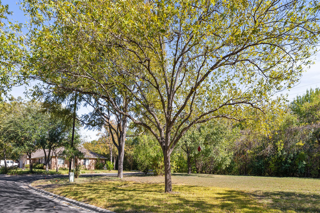13003 Winwick Way Austin, TX 78727 - Photo 17 of 24 Surrounding community with a yard