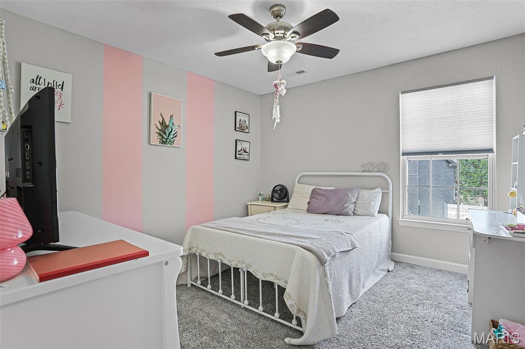 933 Allenbrook Avenue O'Fallon, IL 62269 - Photo 16 of 31