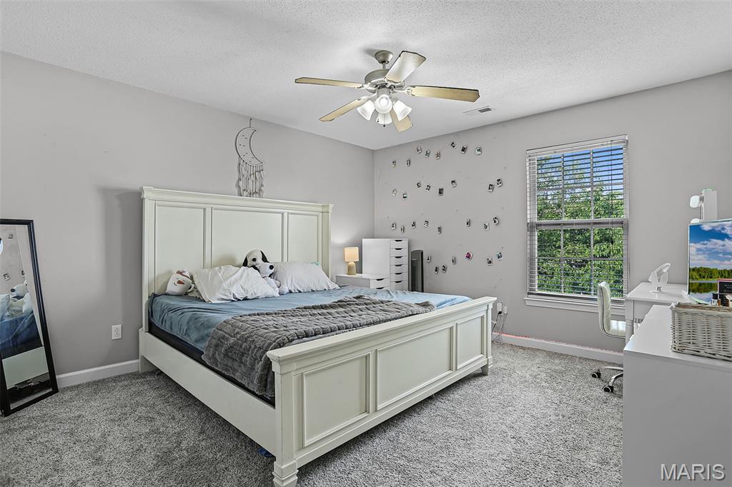 933 Allenbrook Avenue O'Fallon, IL 62269 - Photo 19 of 31