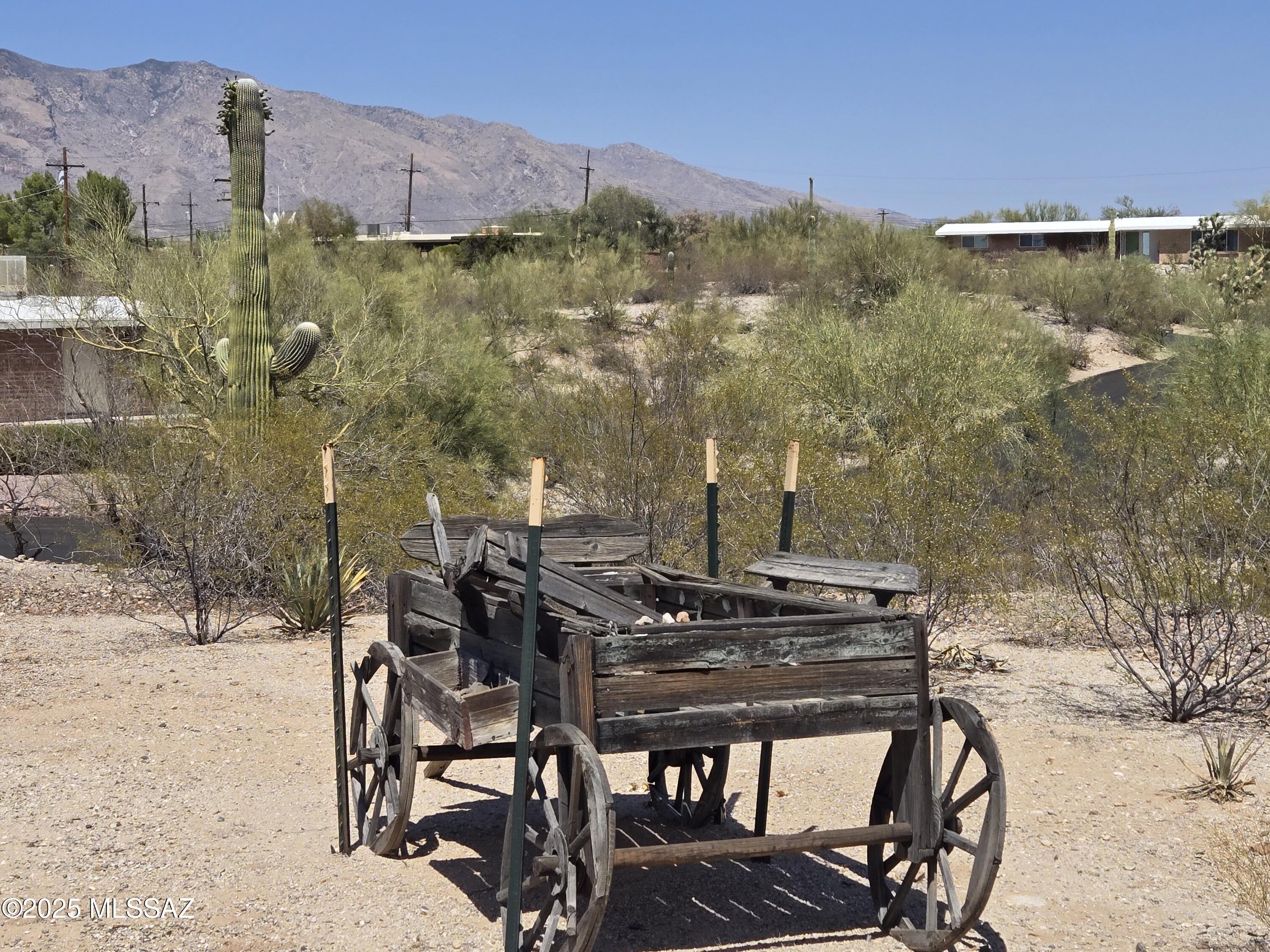 895 West Roller Coaster Road Tucson, AZ 85704 - Photo 3 of 24 Gallery Image 3