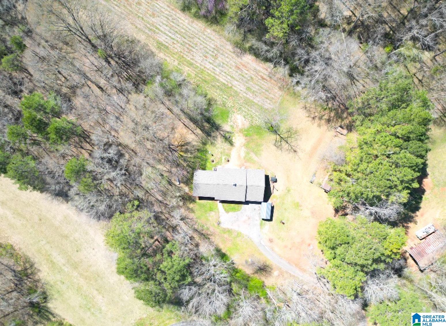 1931 Red Valley Road Remlap, AL 35133 - Photo 13 of 17