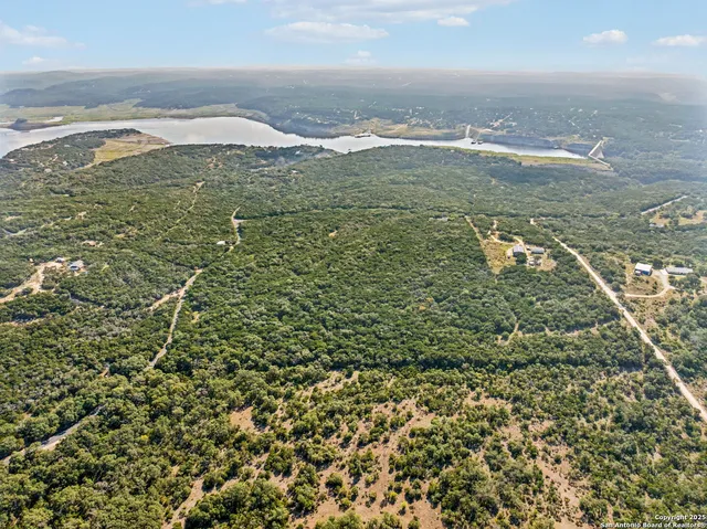 a view of a garden with a pathway