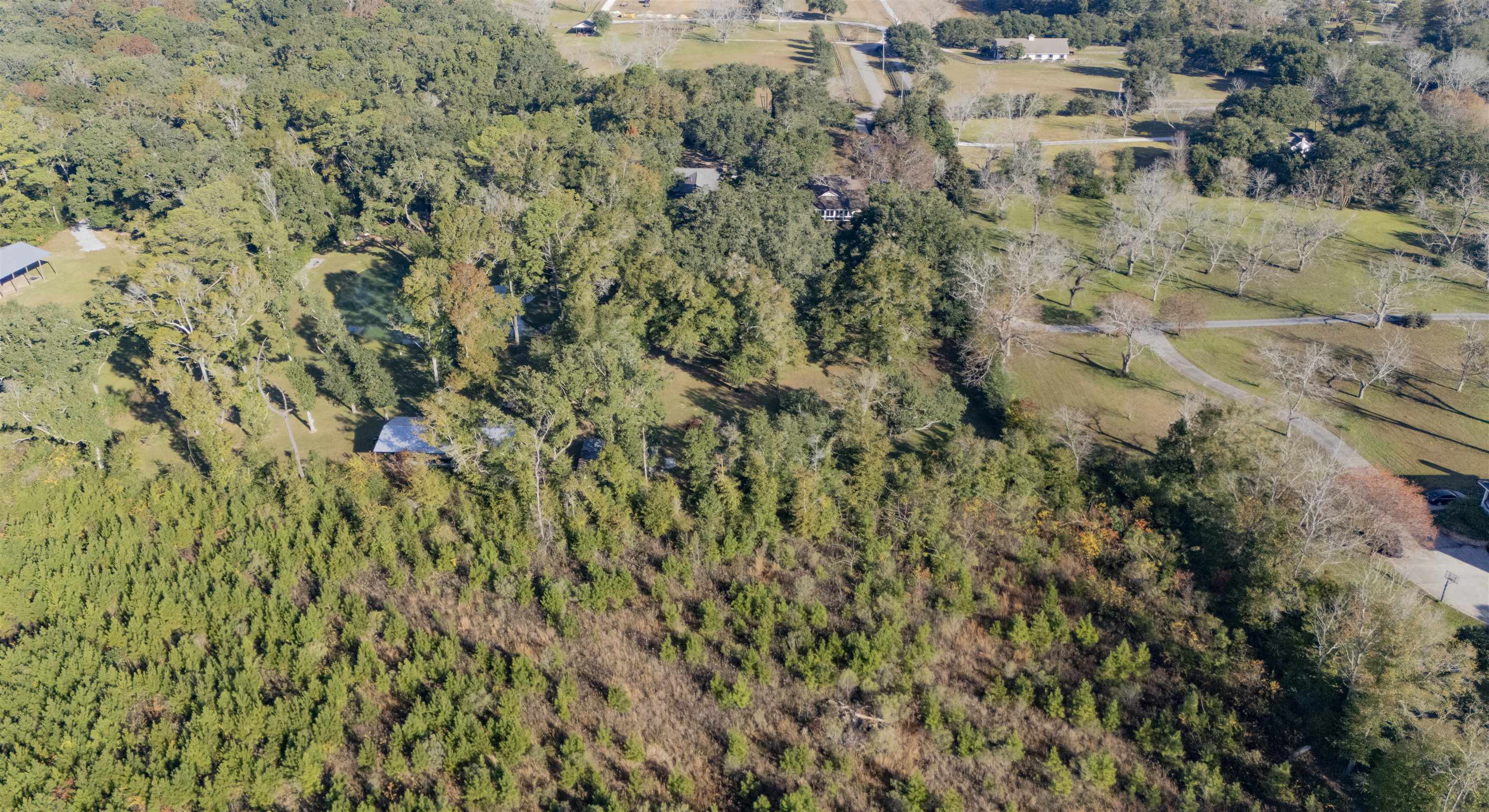 7240 Wood Acres Road Fairhope, AL 36532 - Photo 17 of 21 Aerial View
