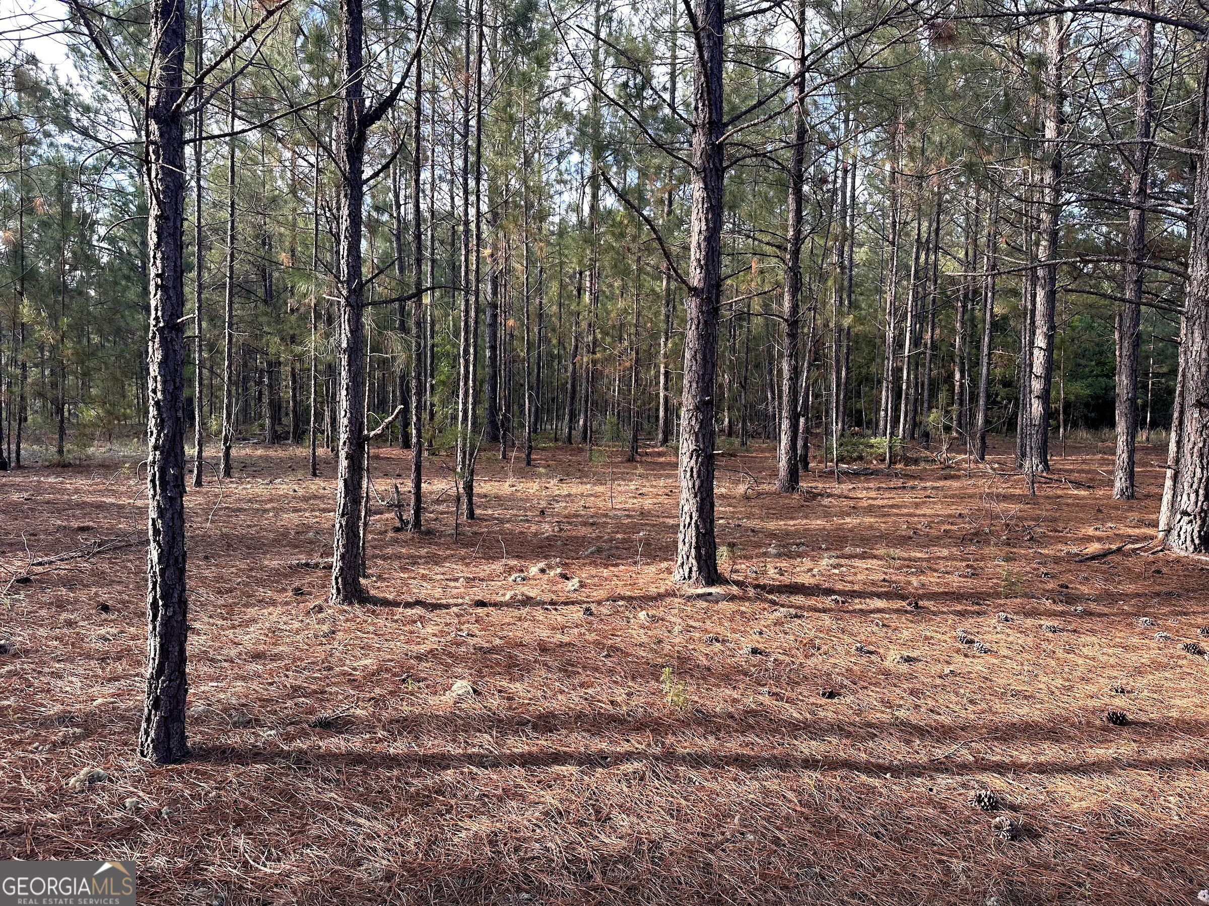 3570 William Dennis Road McRae-Helena, GA 31037 - Photo 23 of 23