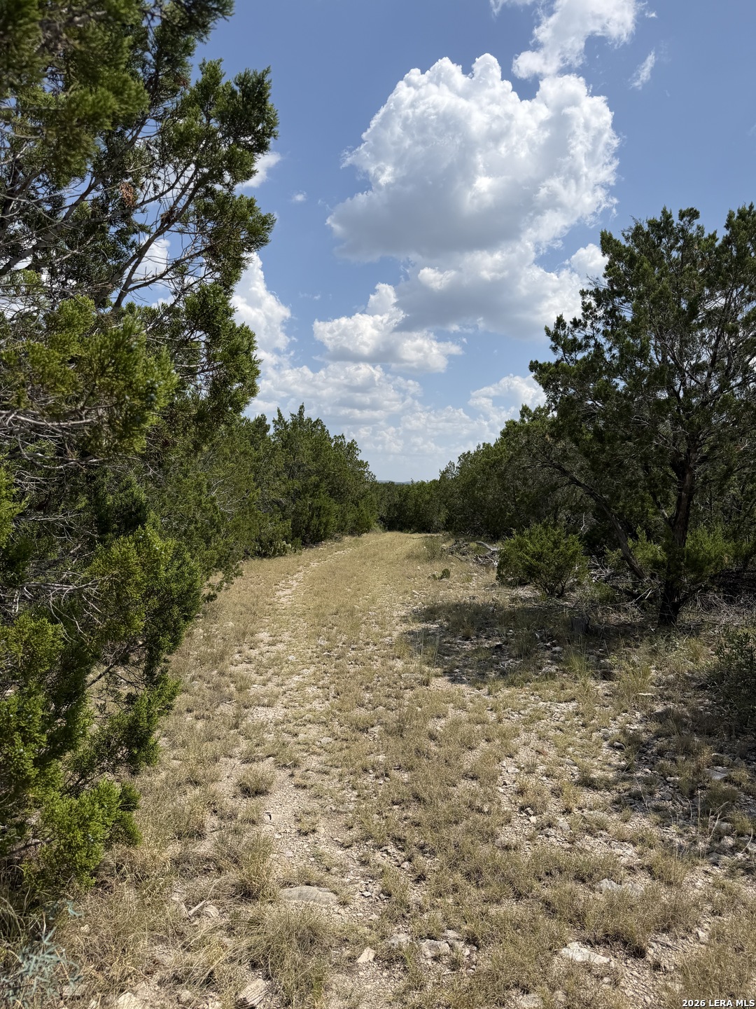 Tbd Tbd 674th Rocksprings, TX 78880 - Photo 23 of 58 Gallery Image 23