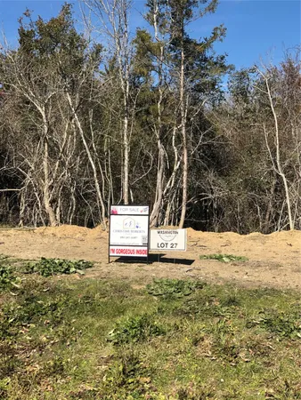 a view of a yard with trees