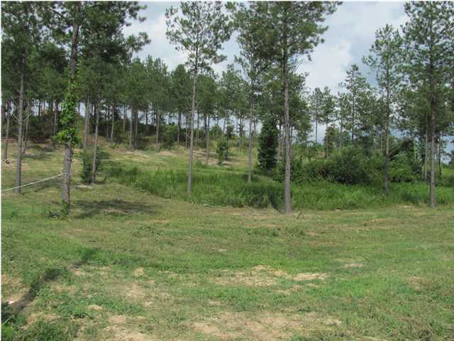 11 Blythe Ferry Road Dayton, TN 37321 - Photo 3 of 9 Additional Photo