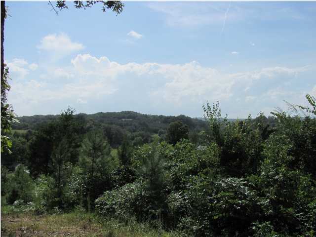 11 Blythe Ferry Road Dayton, TN 37321 - Photo 4 of 9 Additional Photo