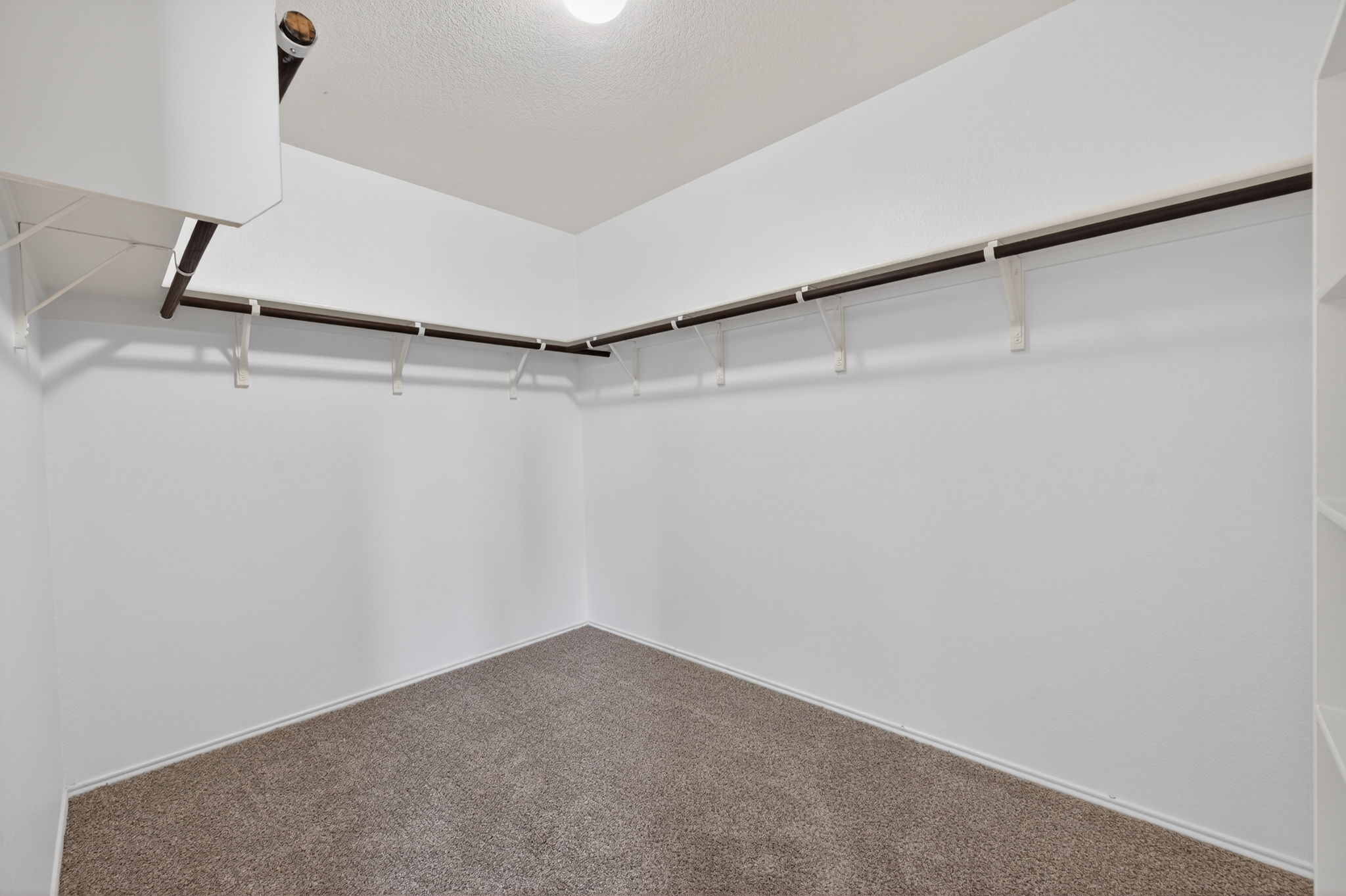 13629 Coomer Path Pflugerville, TX 78660 - Photo 16 of 30 Walk in closet with carpet flooring