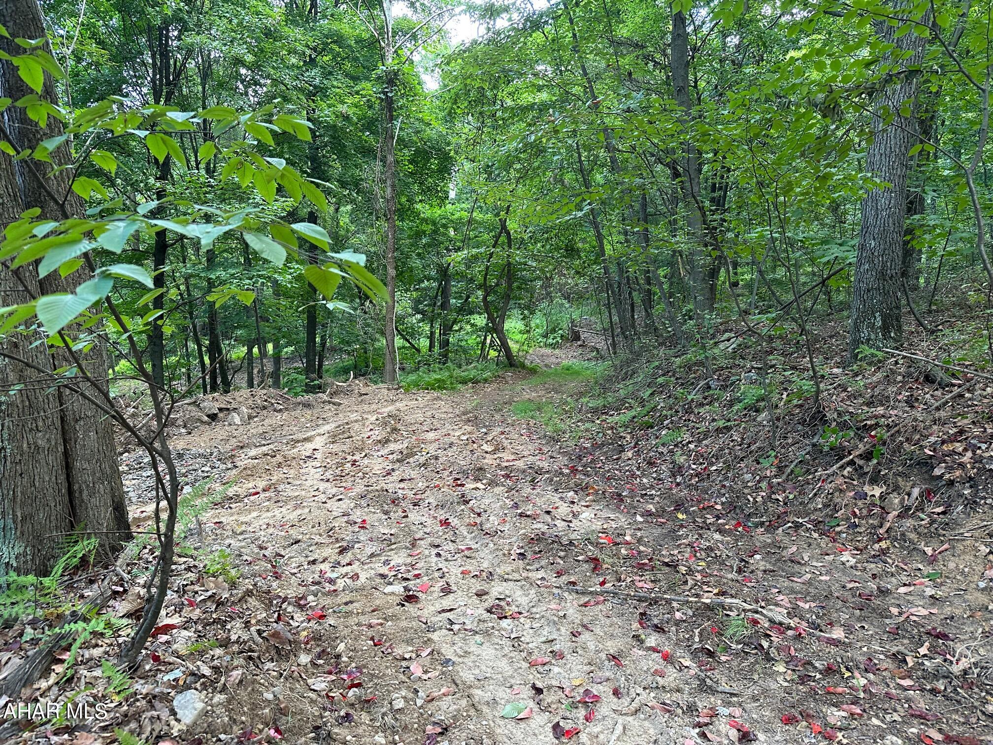 Lot #2 Louks Road Bedford, PA 15522 - Photo 8 of 9