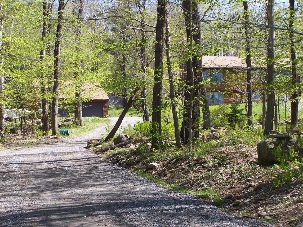 1330 Jacobs Ladder Road Becket, MA 01223 - Photo 14 of 15 a view of a park with large trees