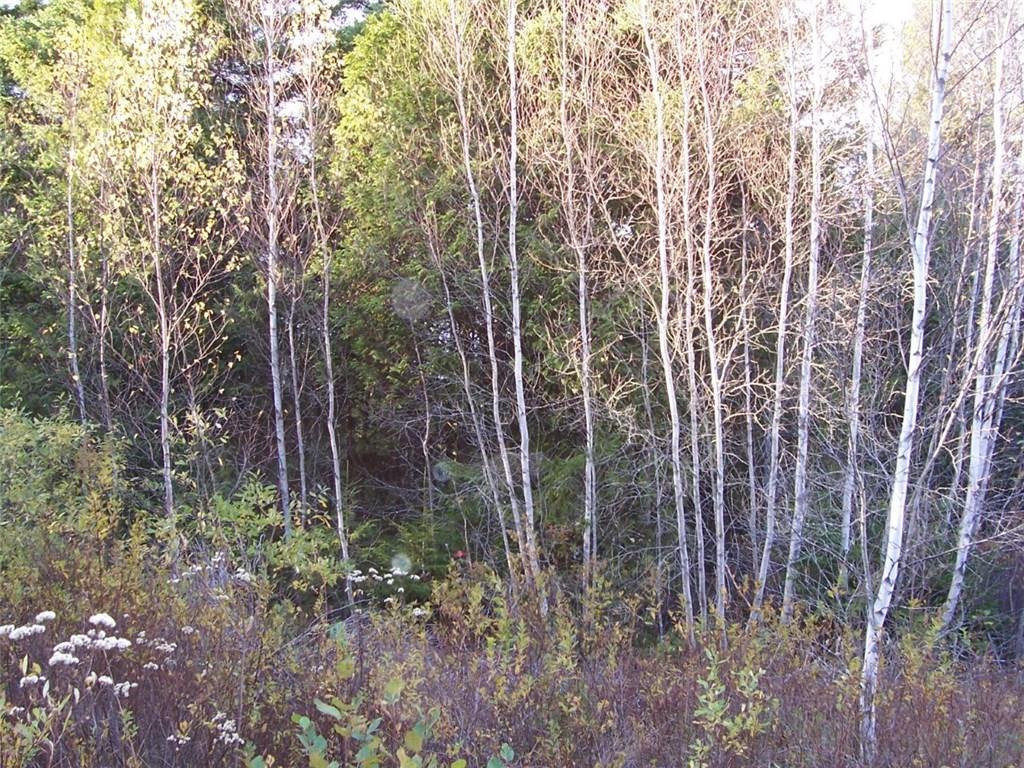 Tbd West Bay Road Gouldsboro, ME 04607 - Photo 3 of 12 Photo
