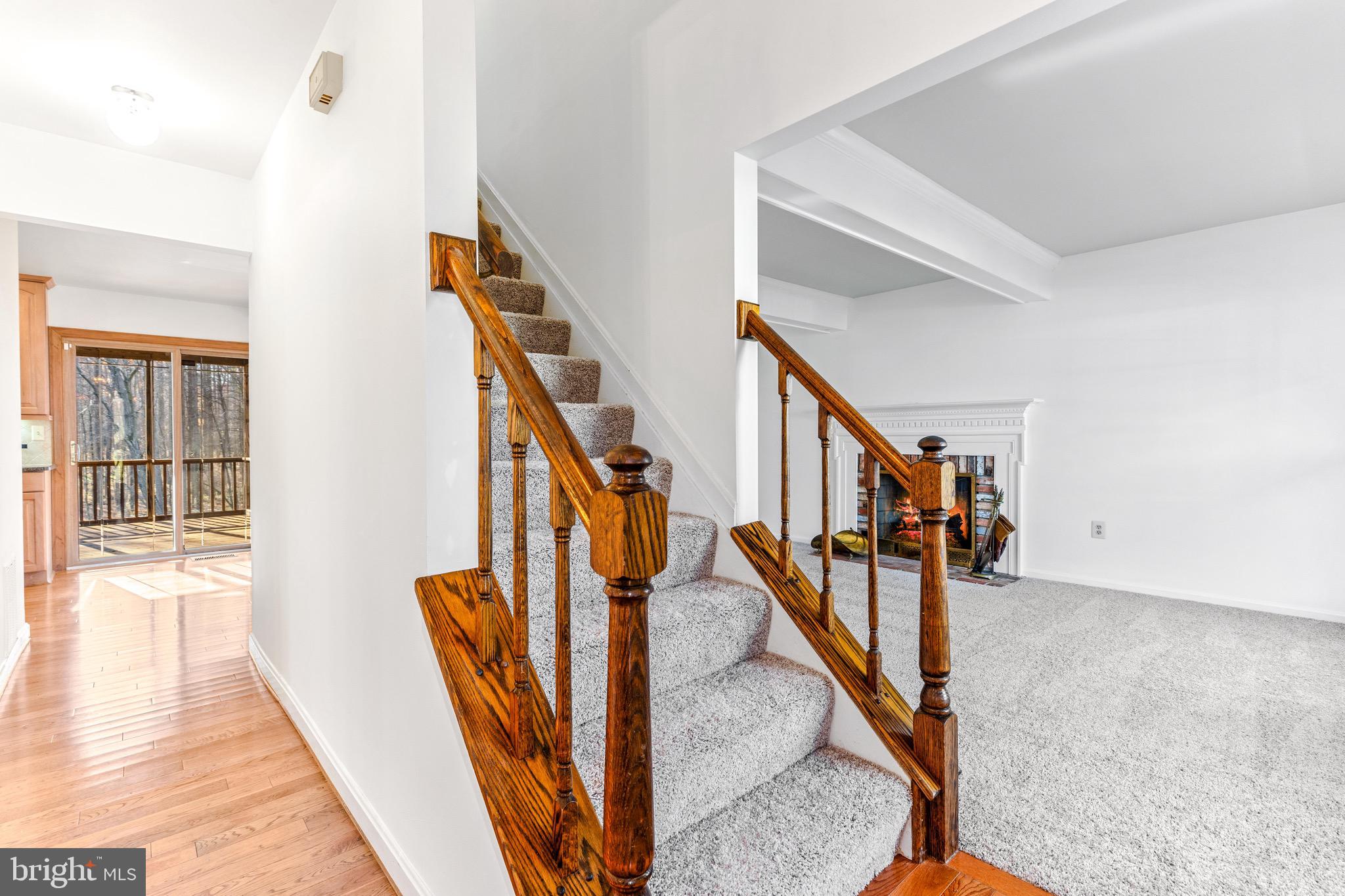 14300 Twig Road Silver Spring, MD 20905 - Photo 28 of 53