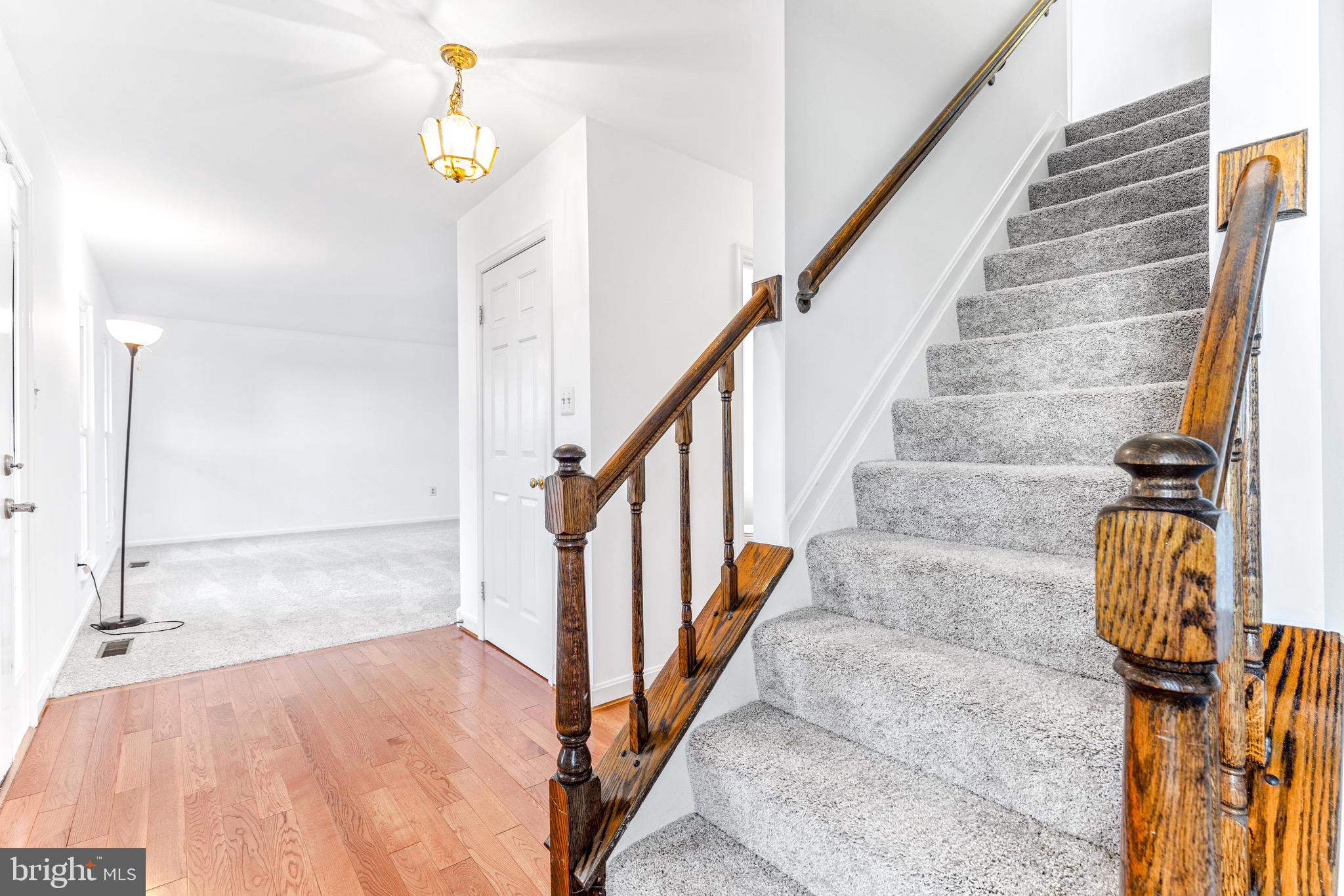 14300 Twig Road Silver Spring, MD 20905 - Photo 29 of 53