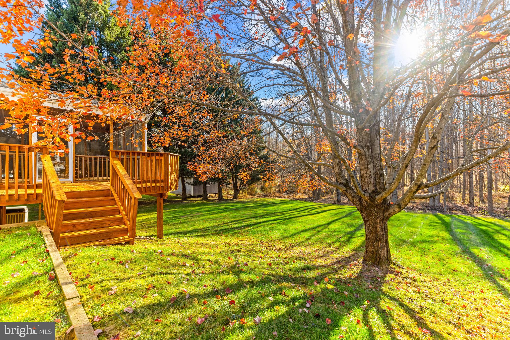 14300 Twig Road Silver Spring, MD 20905 - Photo 42 of 53