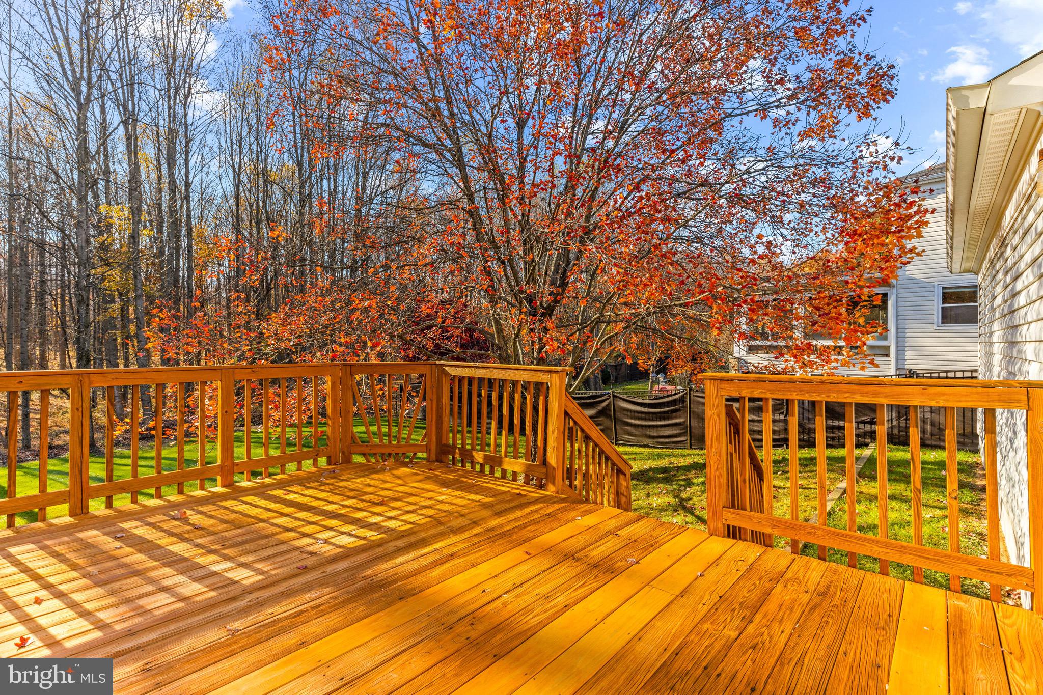 14300 Twig Road Silver Spring, MD 20905 - Photo 43 of 53