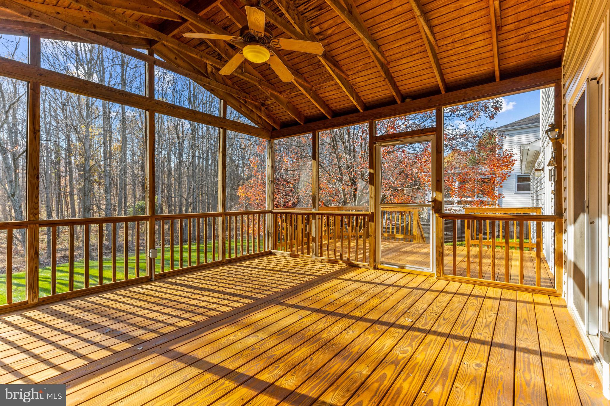 14300 Twig Road Silver Spring, MD 20905 - Photo 44 of 53