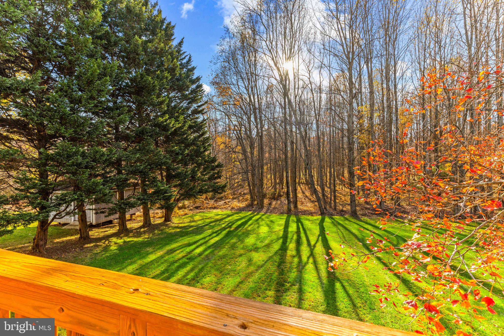 14300 Twig Road Silver Spring, MD 20905 - Photo 45 of 53