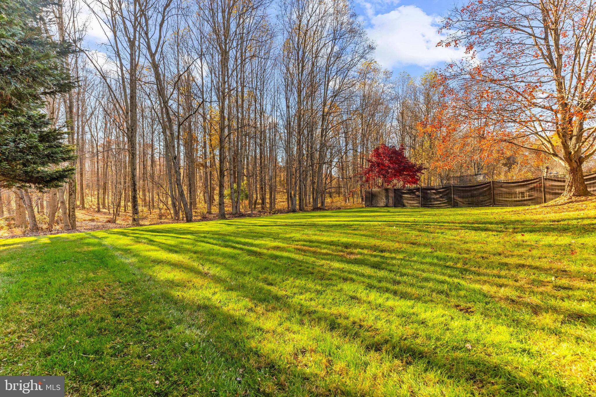 14300 Twig Road Silver Spring, MD 20905 - Photo 46 of 53