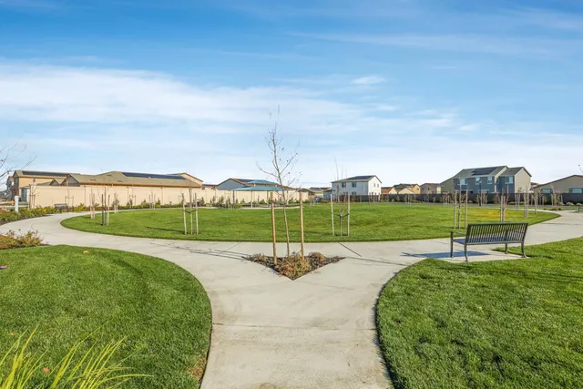 a view of a park with large trees